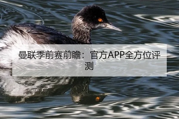 曼联季前赛前瞻：官方APP全方位评测